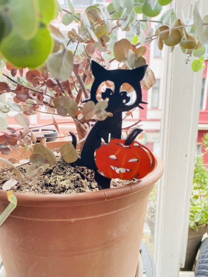 Pflanzen Deko “Herbst” – Bild 3